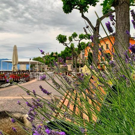 Villa Corteolivo Rooms Torri Del Benaco Εξωτερικό φωτογραφία