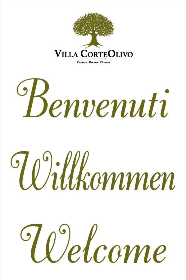 Villa Corteolivo Rooms Torri Del Benaco Εξωτερικό φωτογραφία