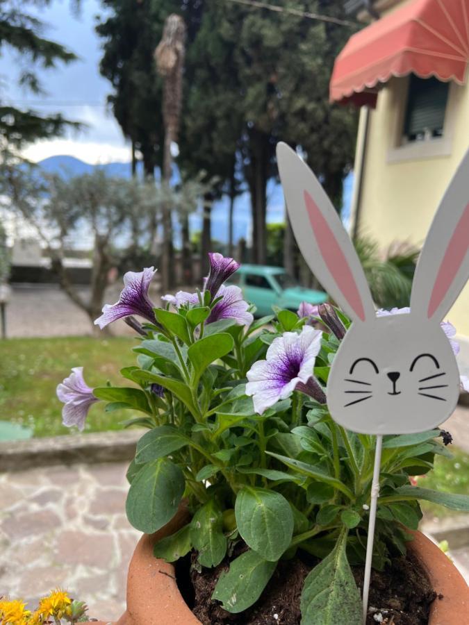 Villa Corteolivo Rooms Torri Del Benaco Εξωτερικό φωτογραφία