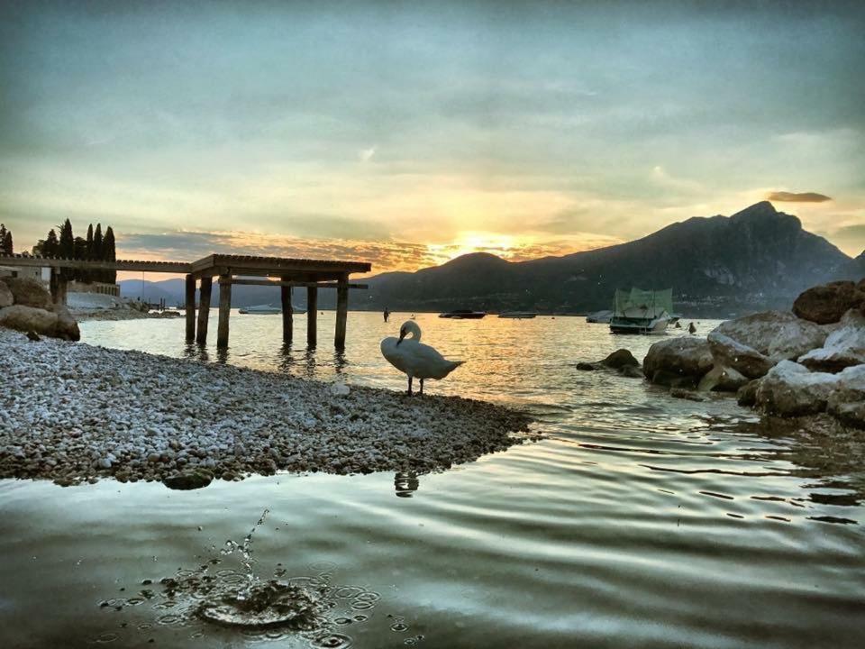 Villa Corteolivo Rooms Torri Del Benaco Εξωτερικό φωτογραφία